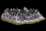 Purple Amethyst Cluster - Uruguay #66721-1